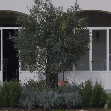 别墅 La Corte 哥尔顿